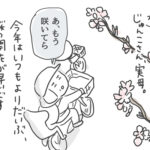 桜の季節